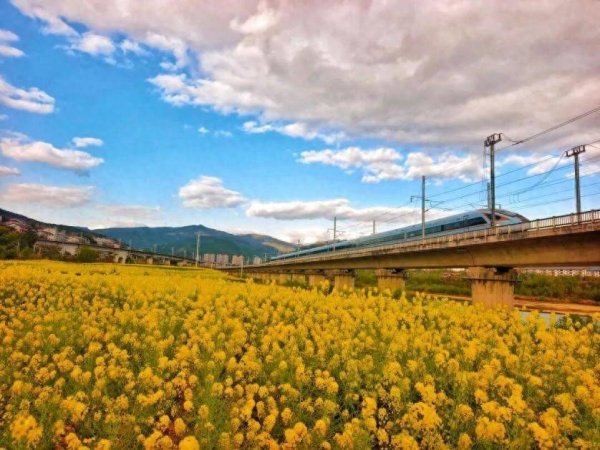 多地新开赏花专列，这份健康“春游攻略”请收好