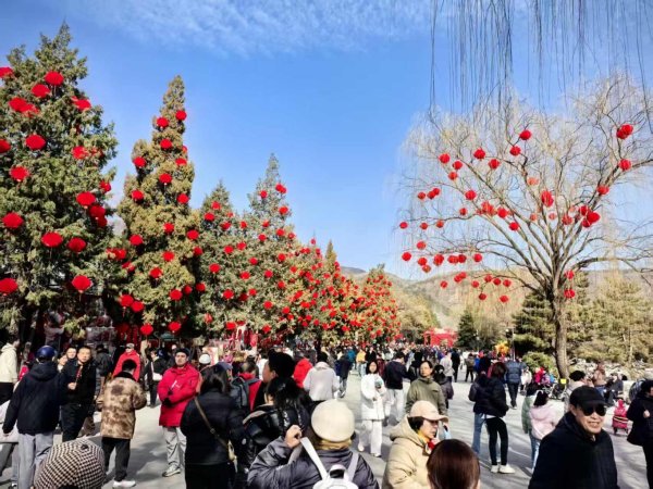 春节长假，北京公园接待游客超千万人次！最火前三——