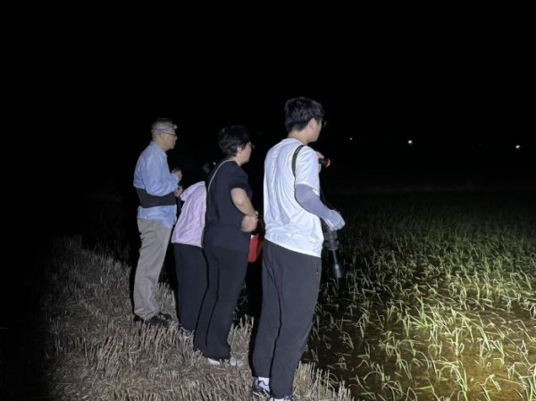 六组志愿者夜探田野，在长丰县野外发现多只无斑雨蛙