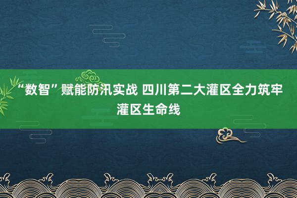 “数智”赋能防汛实战 四川第二大灌区全力筑牢灌区生命线