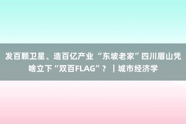 发百颗卫星、造百亿产业 “东坡老家”四川眉山凭啥立下“双百FLAG”？｜城市经济学