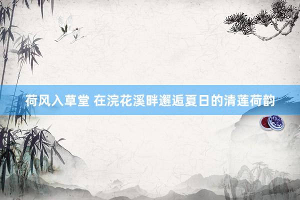 荷风入草堂 在浣花溪畔邂逅夏日的清莲荷韵