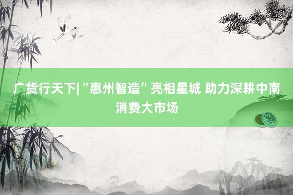 广货行天下|“惠州智造”亮相星城 助力深耕中南消费大市场