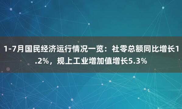 1-7月国民经济运行情况一览：社零总额同比增长1.2%，规上工业增加值增长5.3%
