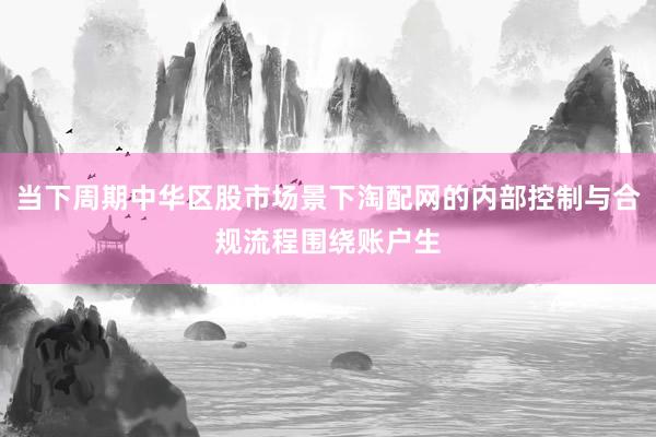 当下周期中华区股市场景下淘配网的内部控制与合规流程围绕账户生