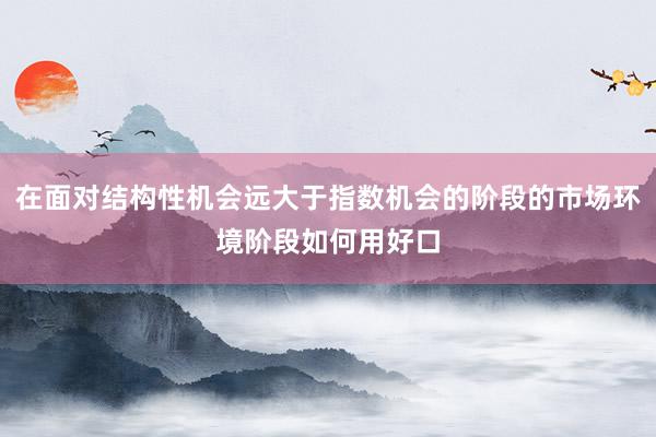 在面对结构性机会远大于指数机会的阶段的市场环境阶段如何用好口