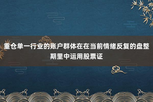 重仓单一行业的账户群体在在当前情绪反复的盘整期里中运用股票证