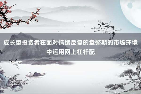 成长型投资者在面对情绪反复的盘整期的市场环境中运用网上杠杆配