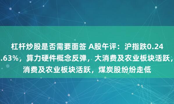 杠杆炒股是否需要面签 A股午评：沪指跌0.24%、创业板指涨2.63%，算力硬件概念反弹，大消费及农业板块活跃，煤炭股纷纷走低