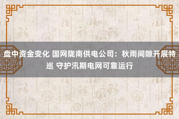 盘中资金变化 国网陇南供电公司：秋雨间隙开展特巡 守护汛期电网可靠运行