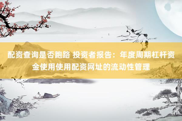 配资查询是否跑路 投资者报告：年度周期杠杆资金使用使用配资网址的流动性管理